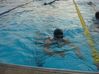 Filename=DSC02598.JPG
Filesize=31KB
Dimensions=448x336
Date added=Jul 21, 2008 DSC02598.JPG