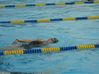 Filename=DSC02602.JPG
Filesize=25KB
Dimensions=448x336
Date added=Jul 21, 2008 DSC02602.JPG
