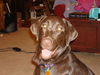 Filename=EmmaYellowbelt_005.jpg
Filesize=850KB
Dimensions=1632x1224
Date added=Feb 22, 2007 EmmaYellowbelt_005.jpg