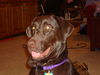 Filename=EmmaYellowbelt_006.jpg
Filesize=863KB
Dimensions=1632x1224
Date added=Feb 22, 2007 EmmaYellowbelt_006.jpg